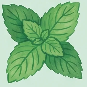 نعناع